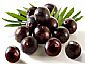 Acai berry Extract-Anthocyanin & Polyphenols